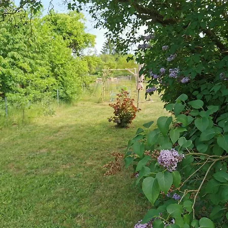 Апартаменты Friedenfelder Nest Gerswalde