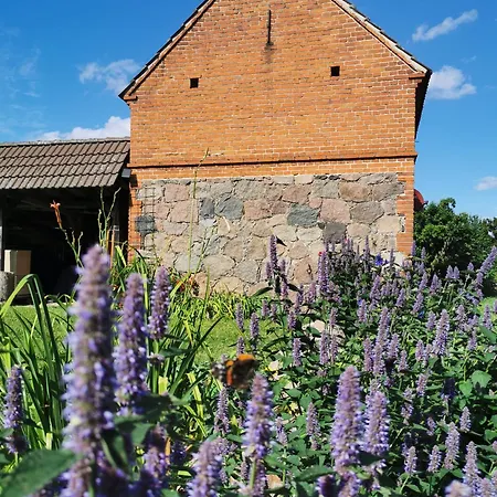 Friedenfelder Nest Gerswalde